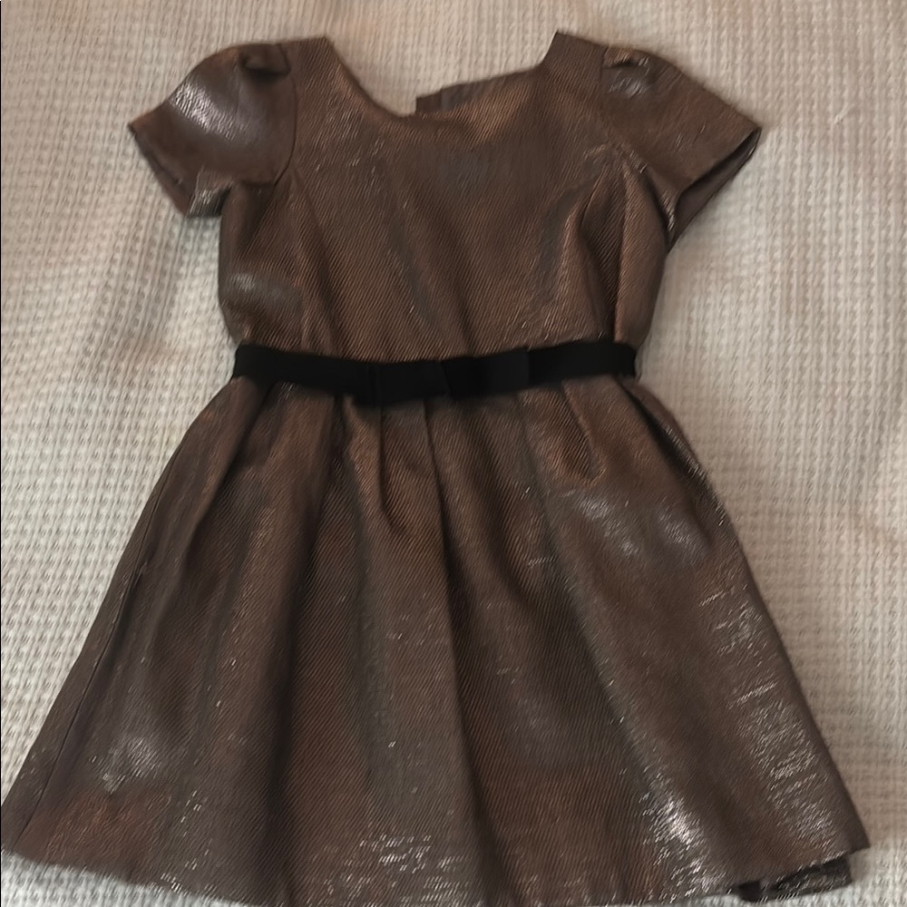 Bonpoint Metallic Dress with Black Accent